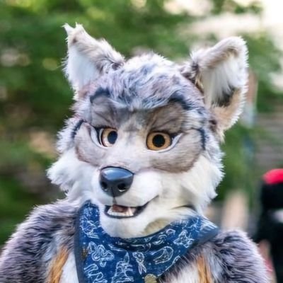 OrionWulfe's profile picture. Wolf lookin for laughs, friends, and memories. Musician by trade. Gamer, disc golfer, and silly mutt in my free time. Happily taken. 

Suit maker: @ByCats4Cats