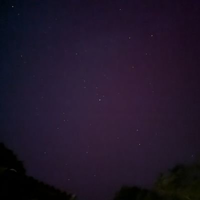 Juliaさんのプロフィール画像