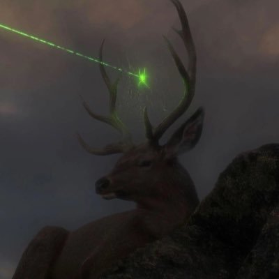 guaverboy's profile picture. blockchain engineer and angel investor