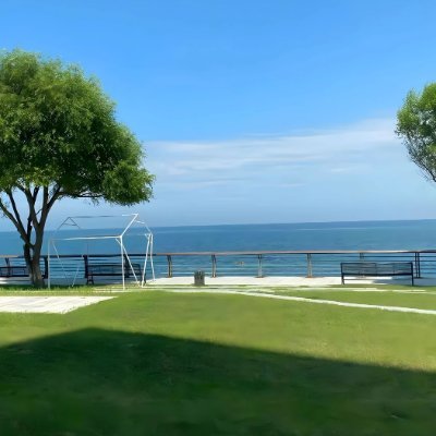 tangjiashao1's profile picture. 