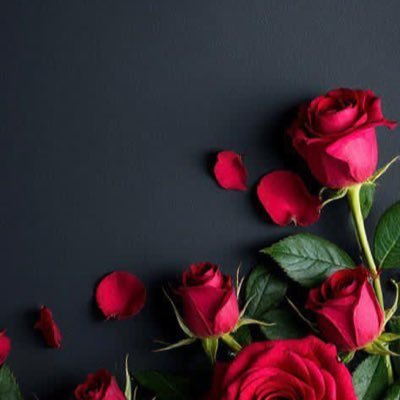 momand4_nd's profile picture. 