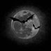 jasper ☆ edtwt (@s0rr0wful_ghost) Twitter profile photo jasper ☆ edtwt (@s0rr0wful_ghost) Twitter profile photo