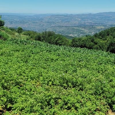 SQuan49791's profile picture. 