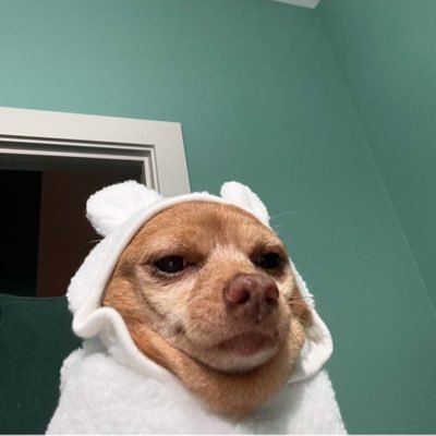 eilnelin's profile picture. 