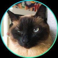 koitsu (@weidai6502) 's Twitter Profile