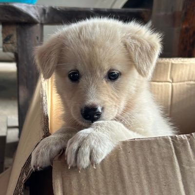 July01P's profile picture. I love you in every single day.
