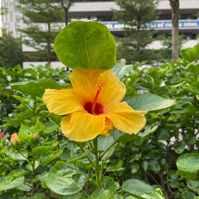GlandG85's profile picture. https://t.co/NqhNNja84t