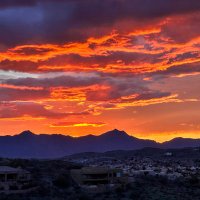Stacey Travers (@traversforaz) 's Twitter Profile Photo