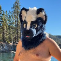 ๐Heislerโs_AD ๐ (@skunko_ad) 's Twitter Profile