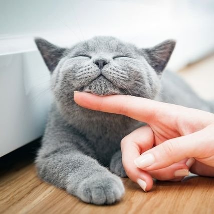 maru56781234's profile picture. #家庭連合　#旧統一教会　現役1世
長女、長男、次女の3人子供　親義理親兄弟子ども１人祝福受けました。祝福の輪を広げたい。スパイ防止法賛成、共産主義の猛威に対抗、勝共、教会は以前から共産主義や共産主義国と戦ってきた。フォローさせてください。