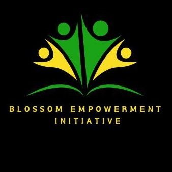 We are a non-governmental/not for-profit organization that Promotes Girl child education, financial literacy and Climate Education in rural communities.