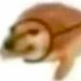 (⊙ω⊙) (@qazwsxedc143) Twitter profile photo (⊙ω⊙) (@qazwsxedc143) Twitter profile photo