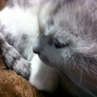 かずひろっく (@kazuhiro332001) 's Twitter Profile Photo