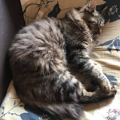 lninggn's profile picture. 人生楽しむがモットー
INTJ-A