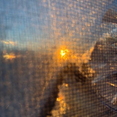 Banchik1710's profile picture. 