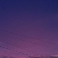 chrisconh (@chrisconhbi) 's Twitter Profile