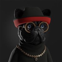 Sloes (@lucasgray74) 's Twitter Profile