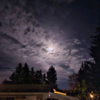 Sheila🇨🇦🪩🛼🍁🐶🐶🐈‍⬛🏒🎵 (@sheilaconboy5) 's Twitter Profile