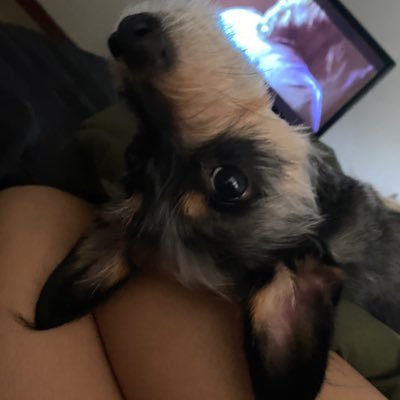 __pina2's profile picture. back up account.                     @naynaypoohh main page.