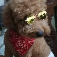 MIR (@kantaririt) 's Twitter Profile Photo MIR (@kantaririt) 's Twitter Profile Photo