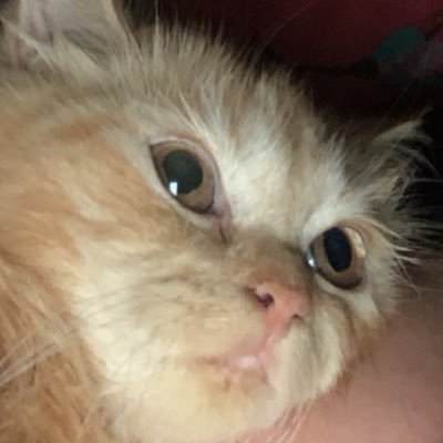 messymistie's profile picture. accentuate the positive, eleminate the negative