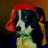 philemon. (@tak0rii) 's Twitter Profile