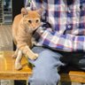 harishkumar_s_s's profile picture. frontend engineer, maintainer @reactjs docs, website team @geteslint. designing and building experimental UI concepts - views are my own