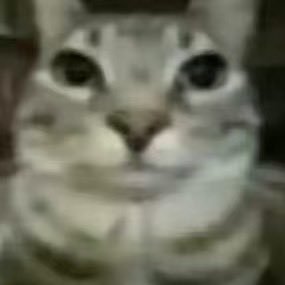 During888's profile picture. 谁来陪我搞同人