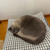 kpppon_iin (@kp_iinn) 's Twitter Profile
