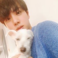 bluevery (@blueverysmulset) 's Twitter Profile