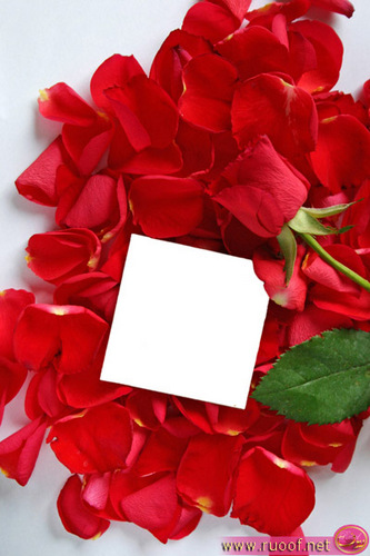 Siso0o015's profile picture. 