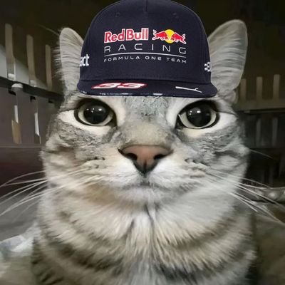 peterparkr679's profile picture. 