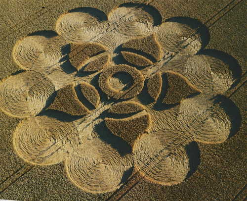 Over 12,000 crop circles have been reported world wide over the past 40 years & all having the same characteristics of mysterious disturbances vs. the fake ones