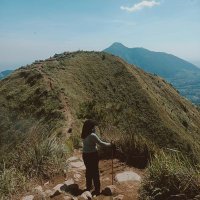 svgarrcane (@yltwidya_) 's Twitter Profile