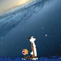 Zane Webb (@zane_webb) 's Twitter Profile