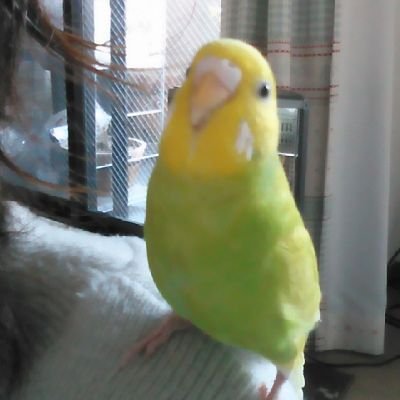 キューのスケッチブックさんのプロフィール画像