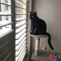 Tara Kelly (@tarakelly162480) 's Twitter Profile