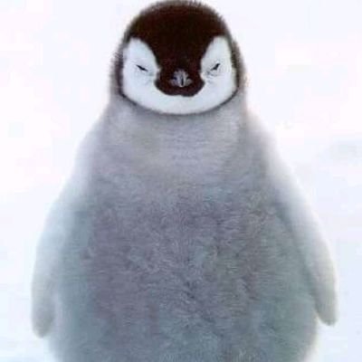 hkieran2's profile picture. 