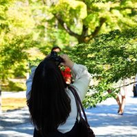 しろ。読書📖´- (@mashiro_book) 's Twitter Profile Photo しろ。読書📖´- (@mashiro_book) 's Twitter Profile Photo