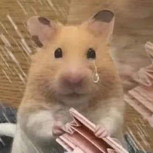 Muu 🐹さんのプロフィール画像