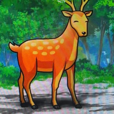 6193さんのプロフィール画像