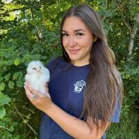 Erin Walker (@erinwalker__) 's Twitter Profile