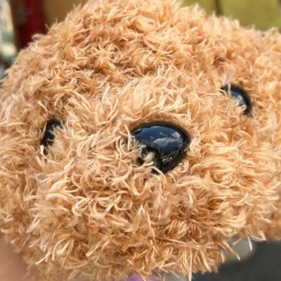 pさんのプロフィール画像