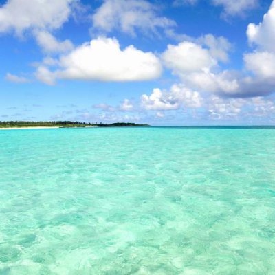 canopusstarUUK's profile picture. 清水寺から放たれる青い一筋の光は、観音さまの慈悲を表しているそうです。