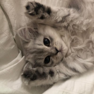 sisimbajeva's profile picture. 