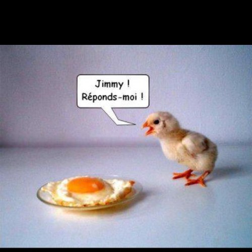 BenjaminIdem51's profile picture. 