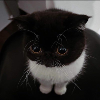 成人済みで働いてます！ 趣味で共有したいです！ よろしくお願いします🥺