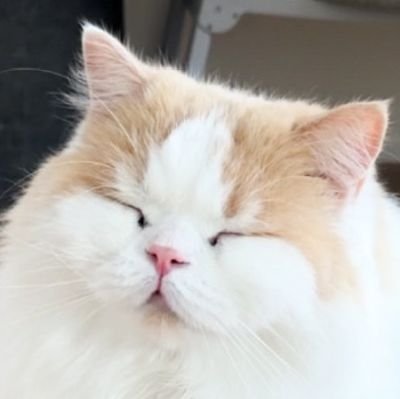 たかしの丸焼き(´･ω･)っ🍖さんのプロフィール画像