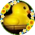 小梅