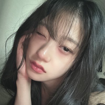 국민애견 빵빵즈さんのプロフィール画像